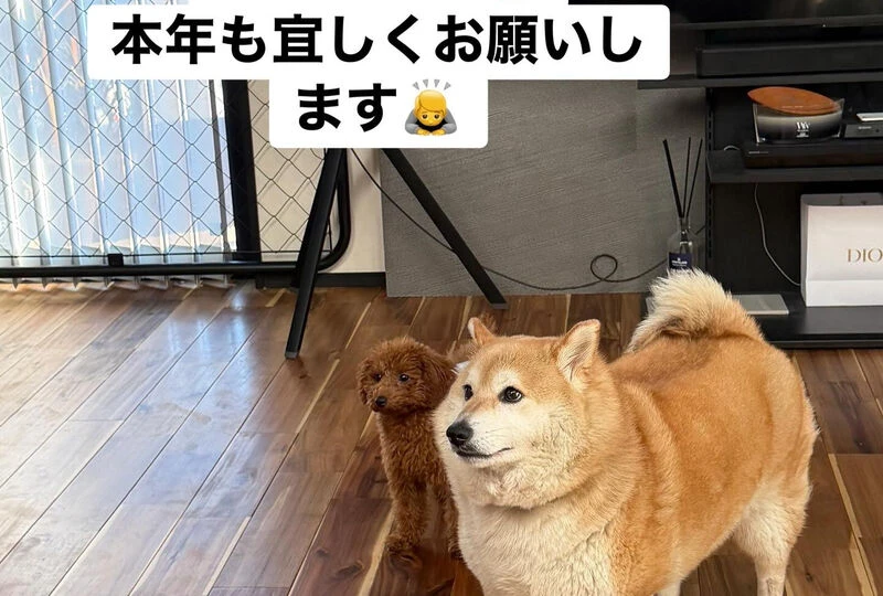 画像2135：新年あけましておめでとうございます
